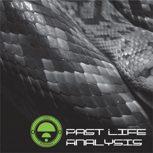 Past Life Analysis by Rawtekk