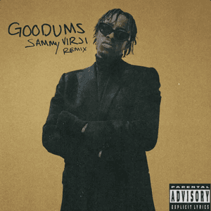 Goodums (Sammy Virji Remix) by Unknown T