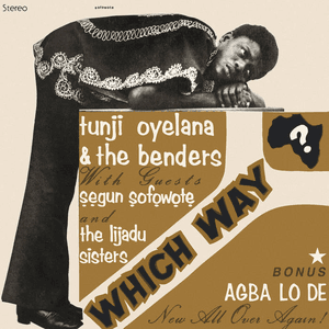 Which Way, Africa? by Tunji Oyelana