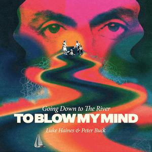 Going Down To The River... To Blow My Mind by Luke Haines