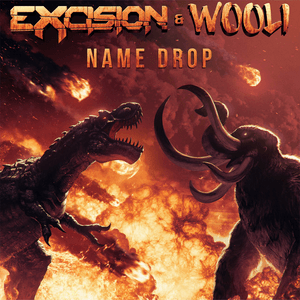 Name Drop by Excision