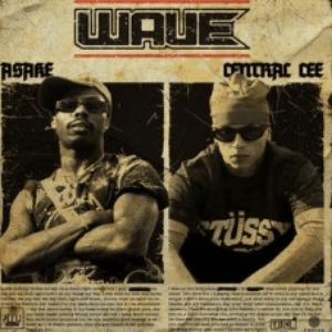 Wave by Asake