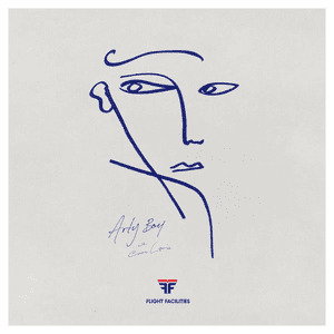 Arty Boy by Flight Facilities