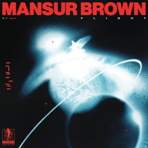 Flight by Mansur Brown