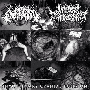 Involuntary Cranial Excision by Visions of Disfigurement