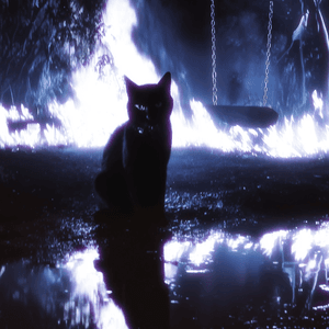 MI GATA by Junior H