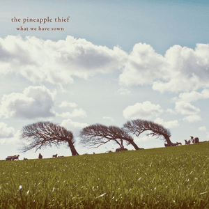 What We Have Sown by The Pineapple Thief