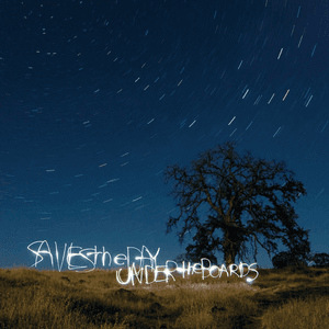 Under the Boards by Saves the Day