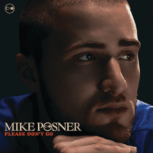 Please Don't Go by Mike Posner