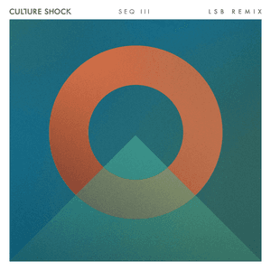 There for You (LSB Remix) by Culture Shock