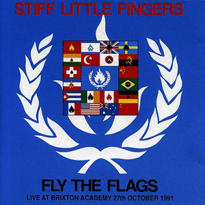 Fly the Flags by Stiff Little Fingers