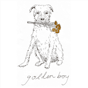 Golden Boy by Golden Boy