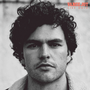 Like Gold by Vance Joy