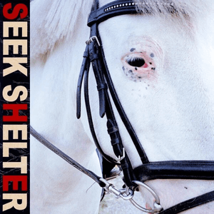 Seek Shelter (Special Edition) by Iceage