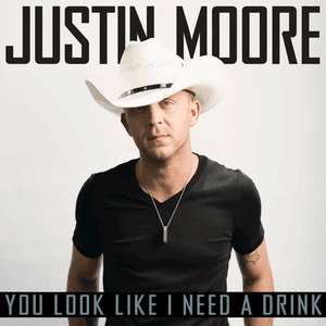 You Look Like I Need A Drink by Justin Moore