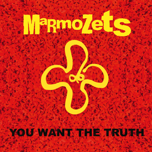 You Want The Truth by Marmozets