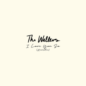 I Love You So (Acoustic) by The Walters