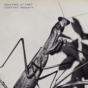 Creature of Habit by Courtney Barnett