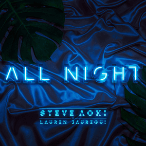 All Night by Steve Aoki