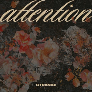 Attention by Strandz