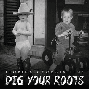 Dig Your Roots by Florida Georgia Line