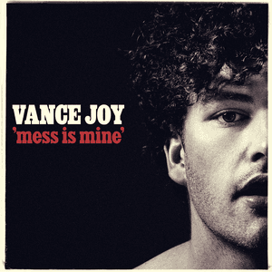Mess Is Mine by Vance Joy