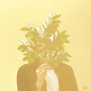 French Kiwi Juice by FKJ