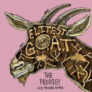 Elitest G.O.A.T. (The Prodigy Acid Thunder Mix) by Sleaford Mods