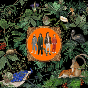 Amazing Things by Don Broco