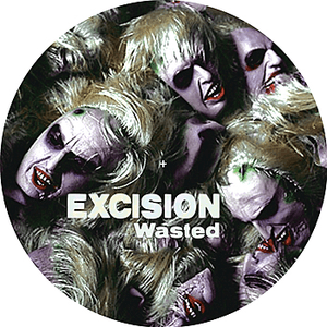 Wasted by Excision