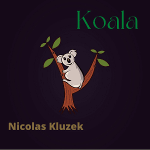 Koala by Nicolas Kluzek