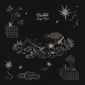 Dog Days by Plini