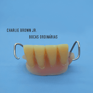Bocas Ordinárias by Charlie Brown Jr.