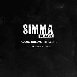 The Scene by Audio Bullys