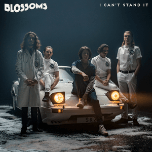 I Can't Stand It by Blossoms
