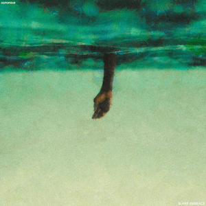 sonorous by Blank Embrace