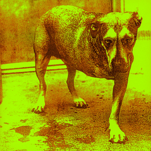 Alice in Chains by Alice in Chains
