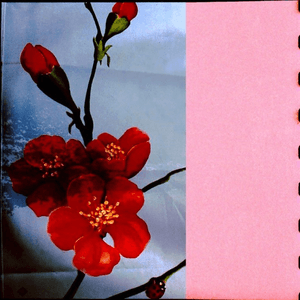 When They Align Just So, Memories of Another Life Bleed Into My Own by Ricky Eat Acid
