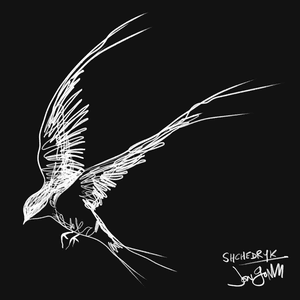 Shchedryk (Carol Of The Bells) by Jon Gomm