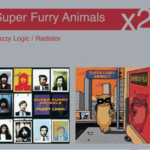 Fuzzy Logic / Radiator by Super Furry Animals