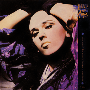 You Spin Me Right Round (Like A Record) by Dead or Alive